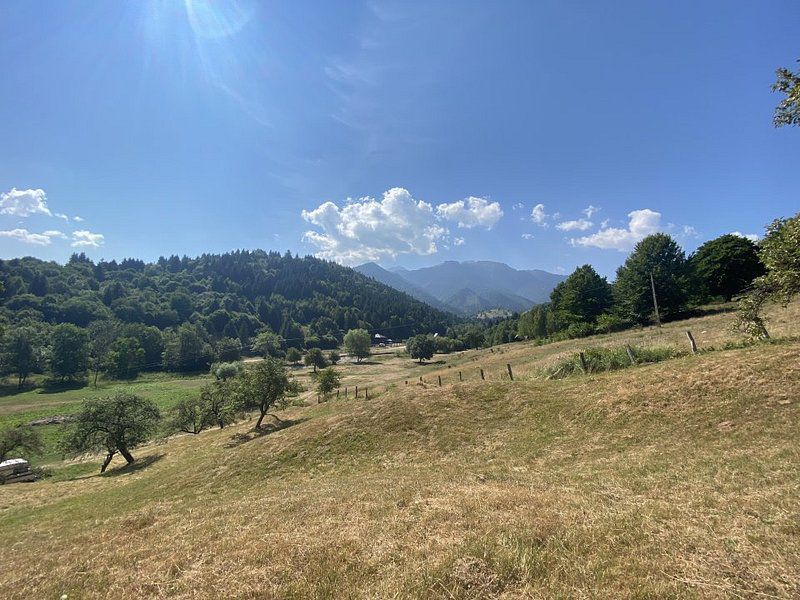 Teren extravilan de vânzare în Râșnov | 6.070 mp | Vedere panoramică - Poză 9