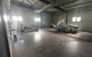 Spațiu comercial, producere+plantație de aronie, Timiș - Poză 6