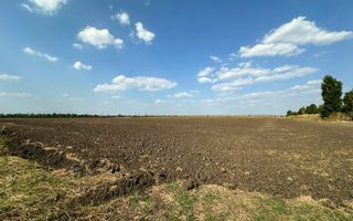 Teren extravilan de vanzare | 9882mp | Berceni - Prahova | Comision 0% - Poză 5