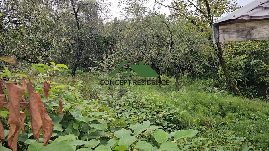 Vânzare teren intravilan 2800 mp – Baia Sprie, cartier de case - Poză 3