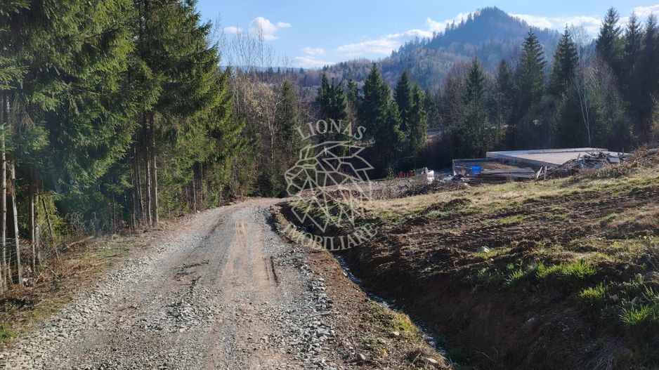 Teren intravilan cu utilitati 600 mp-ideal cabana-Colibita - Poză 1