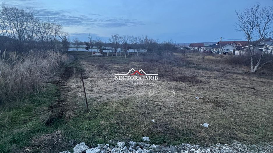 NECTORA IMOB-Teren Intravilan 647 mp, Dublu Front, Paleu, cu Utilitati - Poză 1