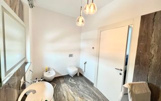 Proprietate deosebita suprafete generoase 580 mp teren 2076 mp - Poză 14