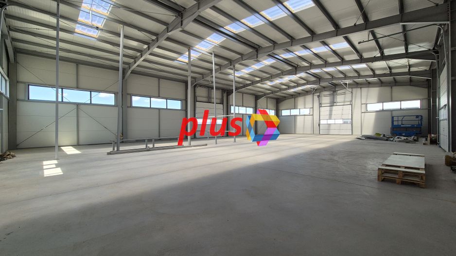 Hala - 1400 mp  # plus-imo.ro - Poză 9