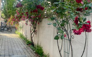 Apartament 4 camere*Vilă Dorobanți/ Curte superba/ Spațios - Poză 29