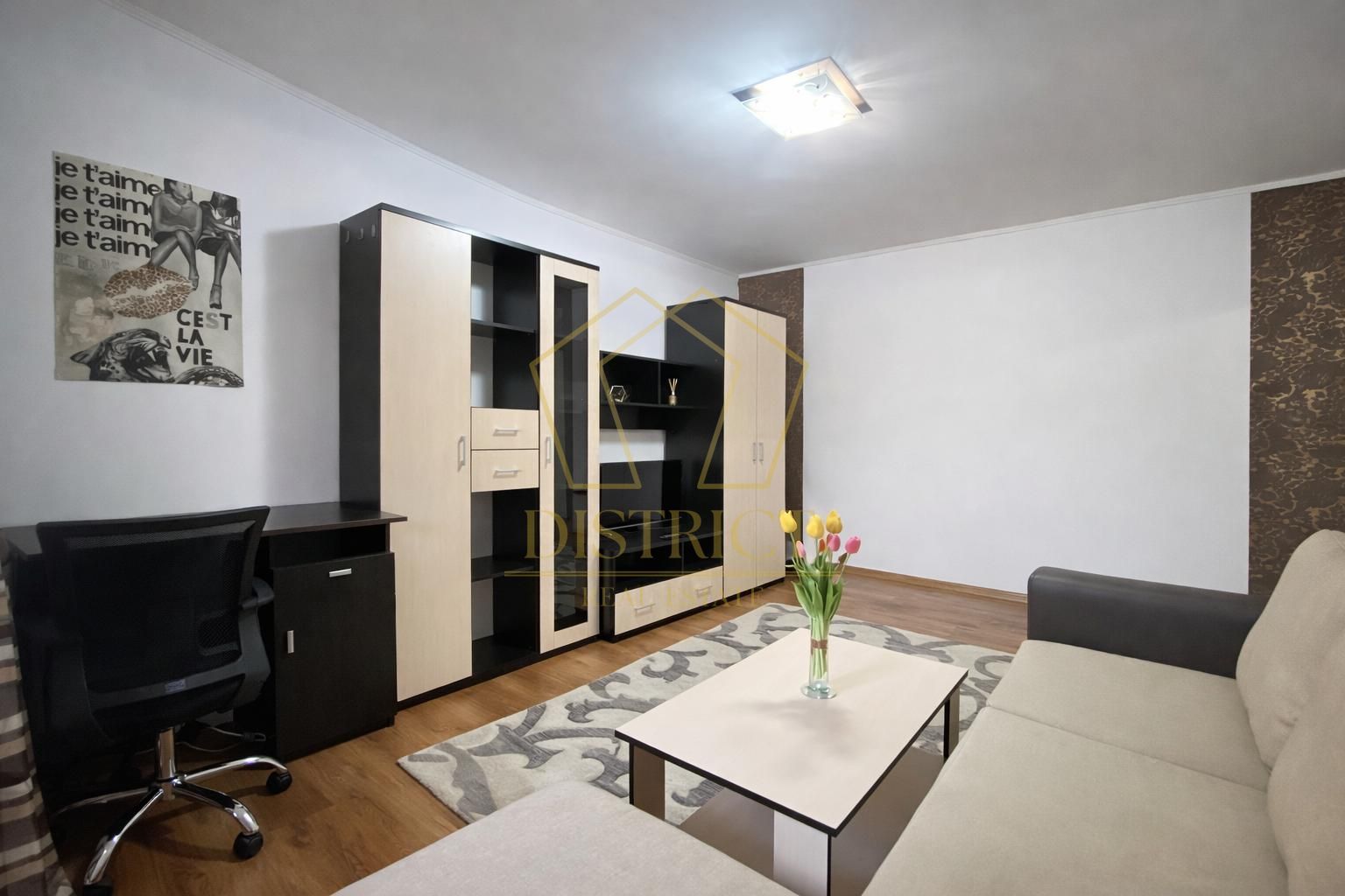 Apartament cu o camera | Take Ionescu - Poză 3