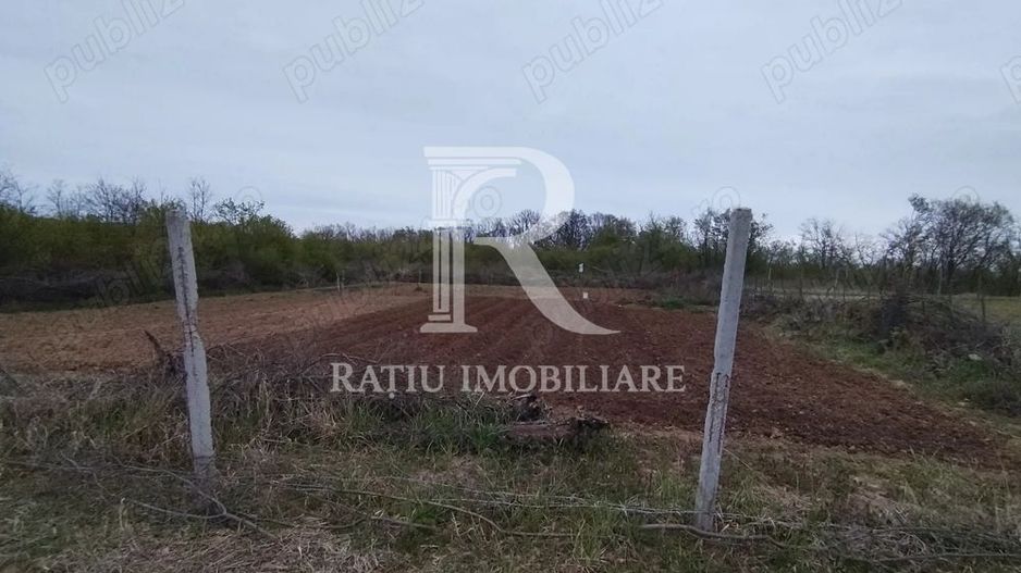 Teren intravilan 888 mp | Front 24 ml | Paleu - Poză 3