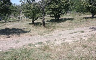 Teren Intravilan Chicerea, 3000 mp, Construibil, Utilități - Poză 3