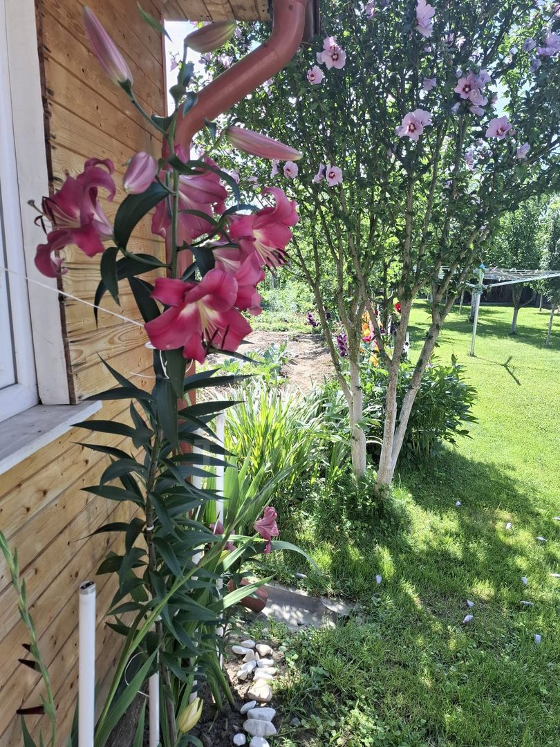 Casa de vanzare in exclusivitate | Avrig - Poză 8