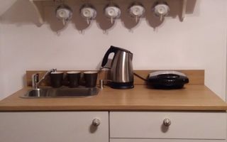 Apartament cochet Cismigiu - Poză 8