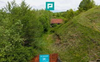 Proprietate de poveste pe Valea Mureșului, Lupești - Poză 5