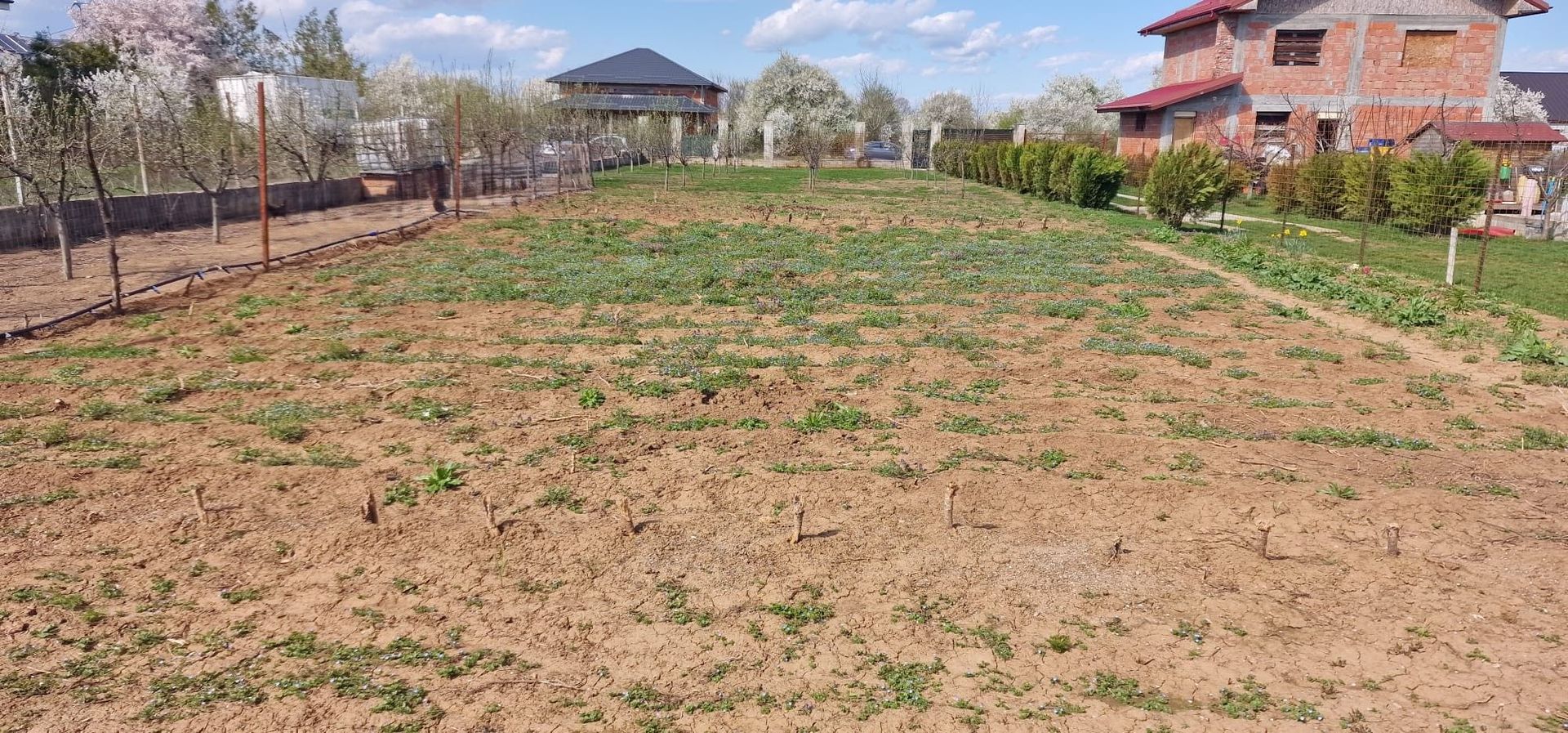 0%comision - Teren Tancabesti ingradit - Poză 6