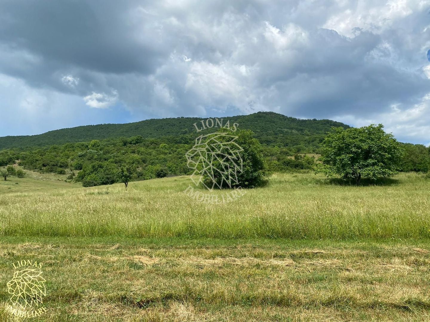 Teren 7200 mp-investitie-Sieu Magherus la 16 km de Bistrita - Poză 7