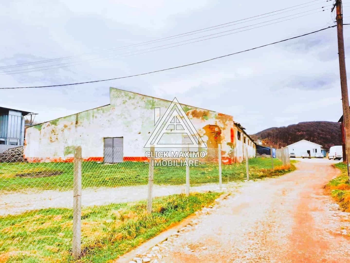 770 mp HALA TIP AVICOLA si 1390 mp TEREN INTRAVILAN, BECLEAN-BISTRITA - Poză 4