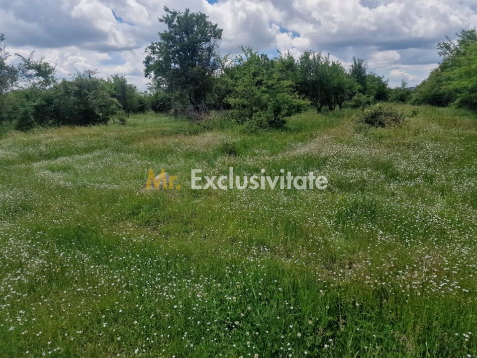 0% Comision!!! Teren intravilan Smeura - str Prunilor! - Poză 5
