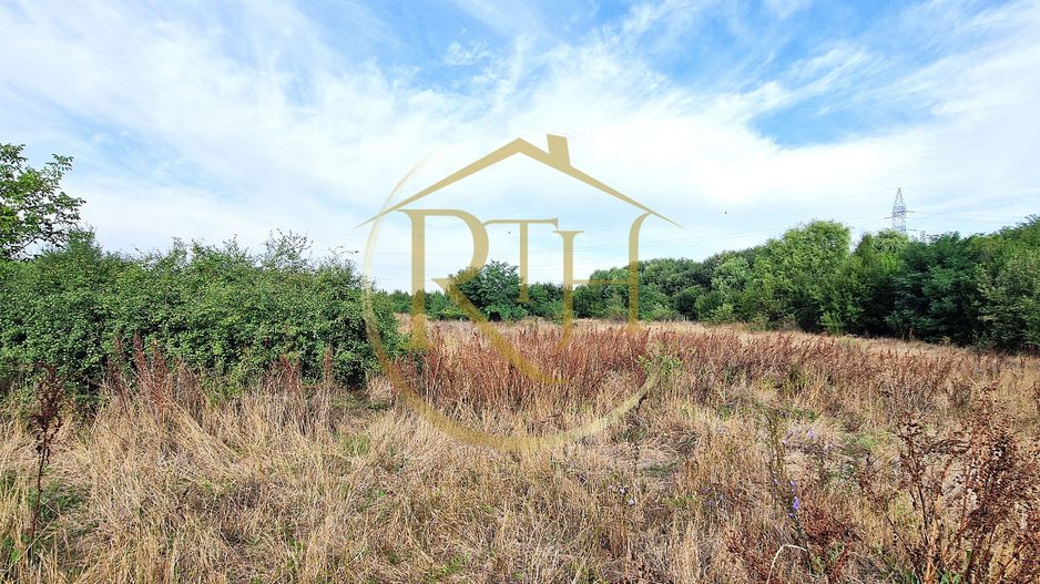 Teren de vânzare – 11.273 mp – zona Plopi, Timișoara Sud. - Poză 3