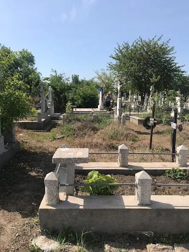 Vand loc de veci single – Cimitirul Coca-Cola, Galati - Poză 3
