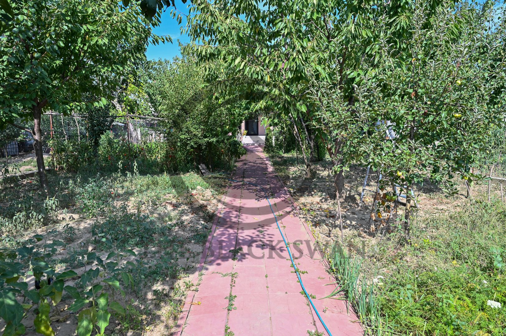 Casa / Vila de vanzare | Postarnacu, Dambovita | COMISION 0% - Poză 20