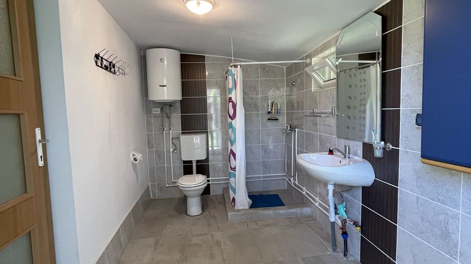 Casa in Comuna Geaca - Poză 10