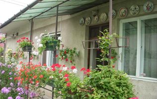 BRASADAS vinde casa singur in curte in zona semicentrala.