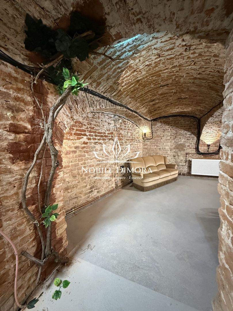 SAD - Spatiu comercial central de 160mp in Arad - ideal: crama, cafenea, magazin - Poză 13