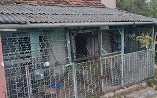 Casă de Vânzare | 3 Camere | 140 MPU | Anexe | Comuna Rosia - Poză 19