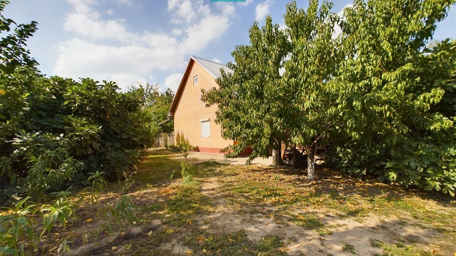 Casă cu teren 2877 mp, orașul Ineu - Poză 4