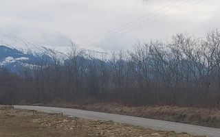 Teren intravilan I Valea Avrigului I 5000 mp - Poză 1