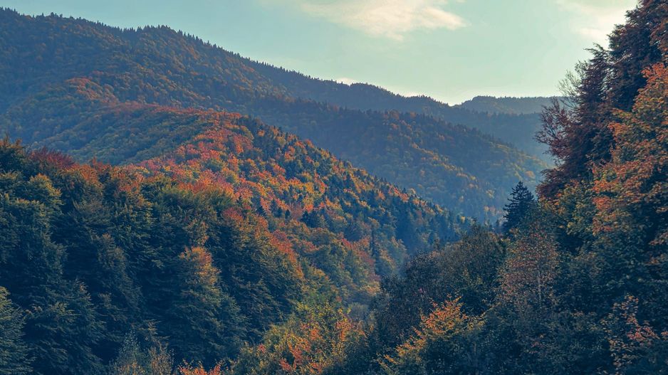 La poalele Tâmpei,  având în apropiere parc, magazine, stație autobuz - Poză 11