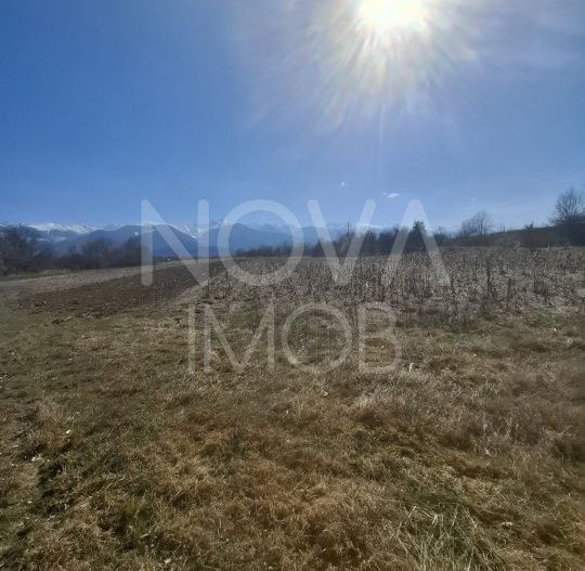 Teren extravilan de vanzare - Arpasul de Sus - Poză 2