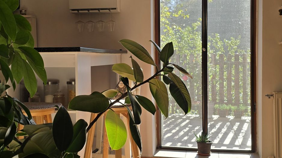 Casă spațioasă cu 6 camere în Triaj preț ajustat - COMISION 0%🌿🏡 - Poză 7