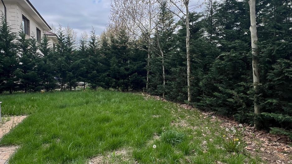 Vila individuala cu 5 camere Otopeni - Poză 5