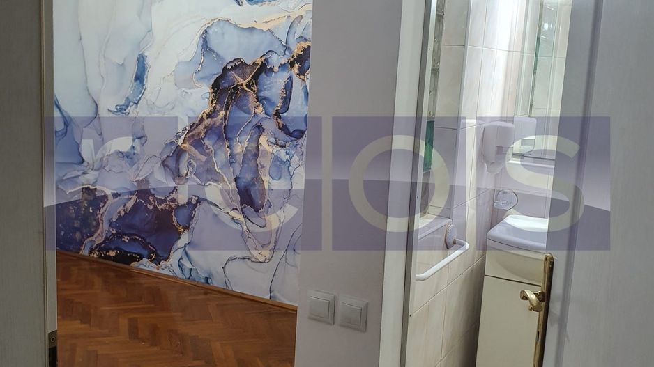 INCHIRIERE SPATIU PARTER | ZONA DECEBAL - Poză 7