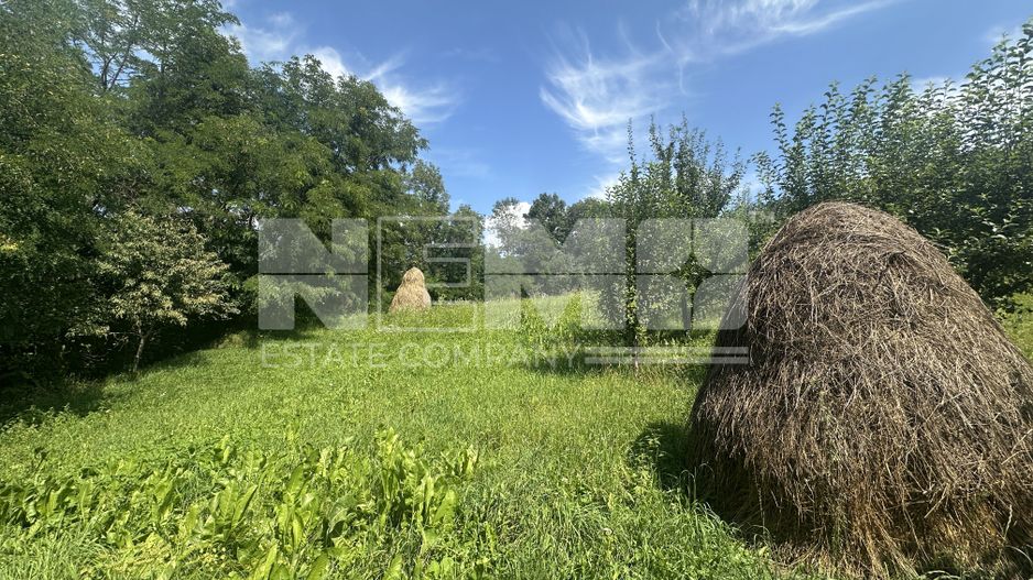 Teren Darmanesti | 41 Ari | 26.500EURO - Poză 4