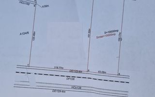Mosnita Noua Teren 10.000mp | Front 63m | La asfalt - Zona de Case - Poză 3