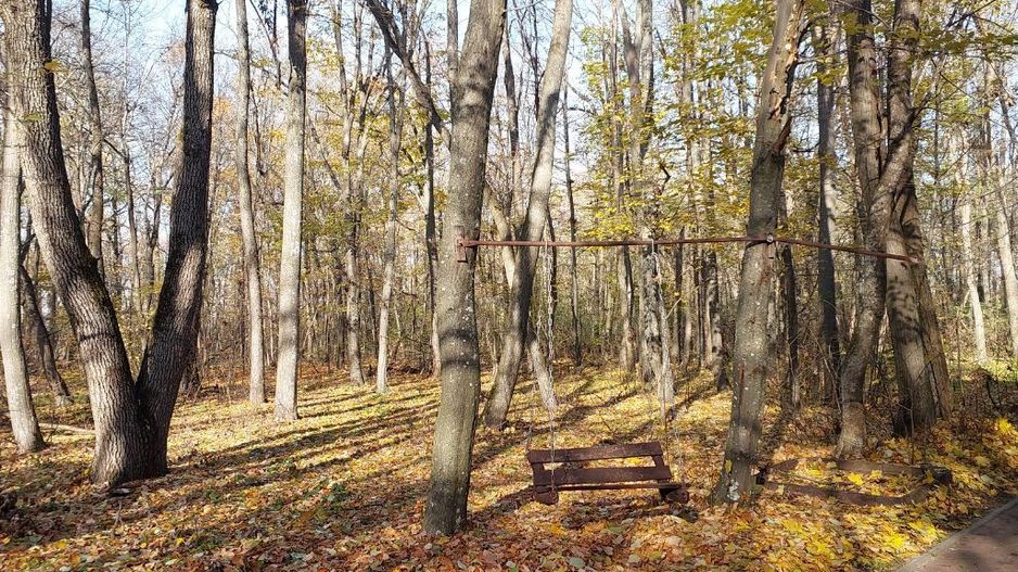 50 ari de Teren forestier si de recreere in Codri!! - Poză 2