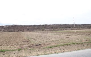 Oportunități de Investiție în Terenuri Sebesul de Sus - Poză 11