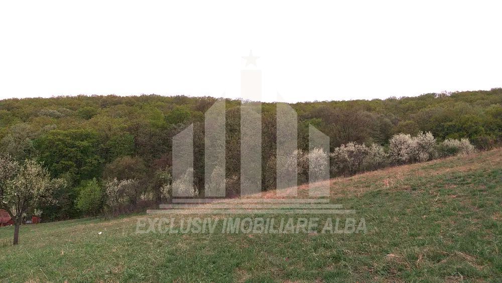 Teren intravilan | De vanzare | 1808 mp | 18 ml deschidere | Seigau - Poză 4