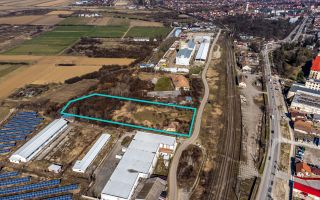 Teren 7800 mp Ineu - Poză 2