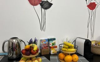 AFACERE PENSIUNE CU 8 CAMERE DE ÎNCHIRIAT - ZONA BĂNEASA - Poză 27