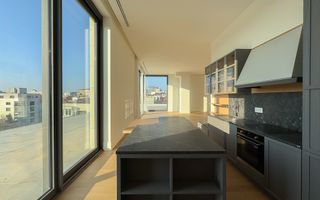 Penthouse Vedere Exceptionala | Dumbrava Rosie | Gradina Icoanei - Poză 10