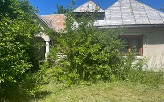 De Vanzare Gospodarie Cerbu - Poză 2