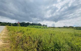 Parcele teren intravilan Paleu - Poză 5