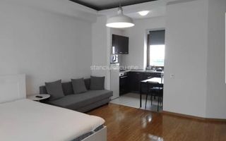 Garsonieră spațioasă de închiriat | Herăstrău - Poză 4