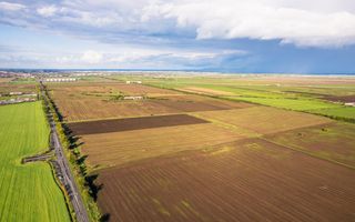 Teren de 200000 mp în Arad - Poză 2