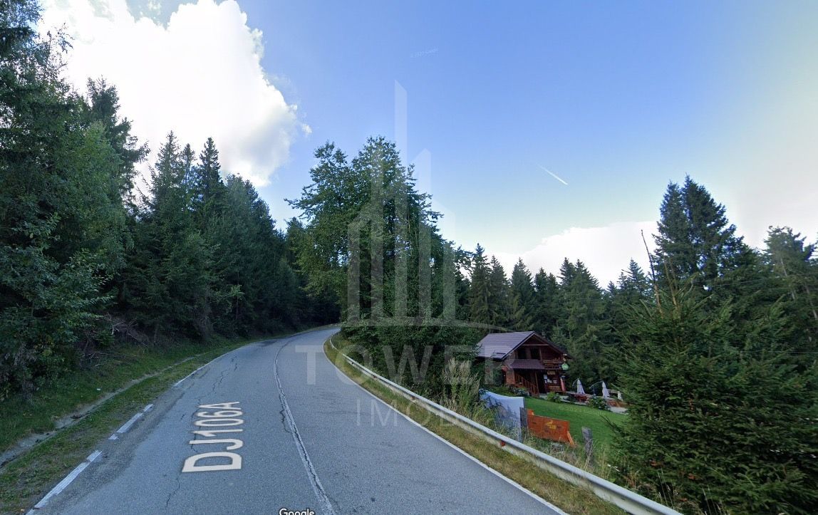 Teren INTRAVILAN 3.000mp | Păltiniș OPORTUNITATE - Poză 4