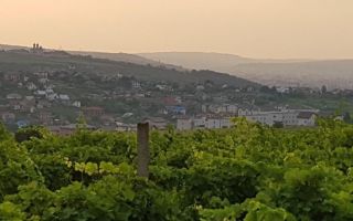 Teren intravilan 1.600 mp, Vișan, str. Al. Macedonski – ideal dezvoltare duplexuri/bloc - Poză 1