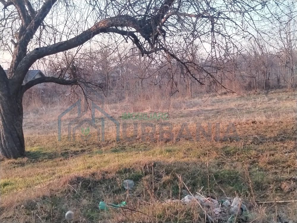 Vanzare teren - zona Ciurea, spre Piciorul Lupului. - Poză 5