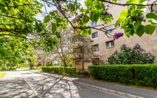 Apartament 3 camere Micalaca 300. Vedere superbă spre Mureș - Poză 11