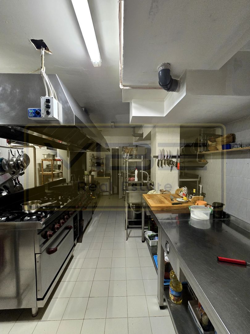 Complex comercial – restaurant / pensiune / retreat – Copou, Iași - Poză 6